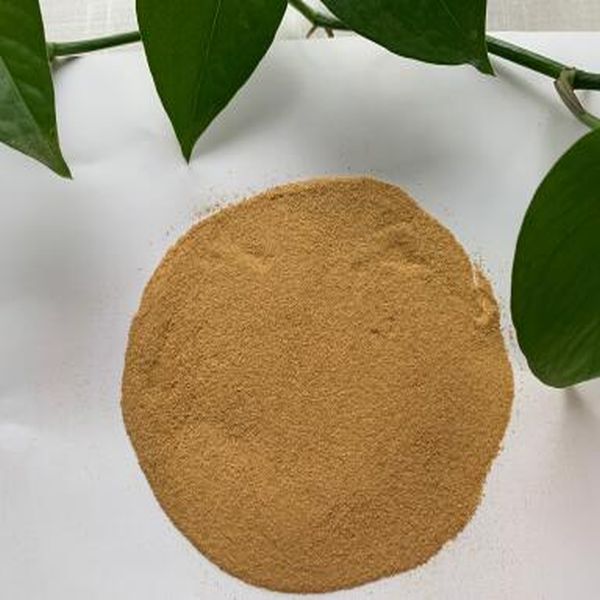 8 Year Exporter Py-Zym Mixed Cereals -
 Active protein powder 80% – Puyer