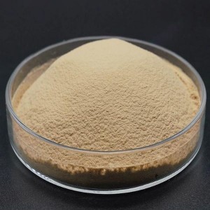 China Gold Supplier for Cinnamon Bark Pe 10:1 -
 Yeast powder 50% – Puyer