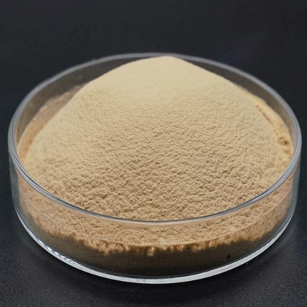 Factory Promotional N-Acetyl-L-Carnitine Hcl -
 Yeast powder 60% – Puyer