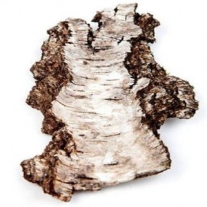 Factory Promotional Zinc Bacitracin -
 White Willow bark – Puyer