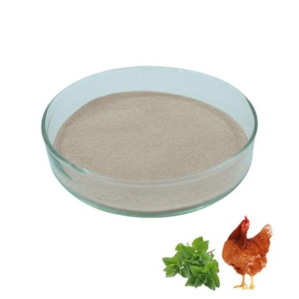 China Cheap price Tricalcium Phosphate/Tcp -
 PY-Broiler premix  – Puyer