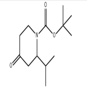 tert-butyl 2-isopropyl-4-oxopiperidine-1-carboxylate CAS:313950-41-3