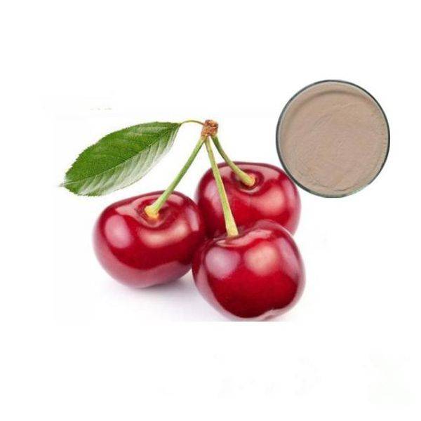 Leading Manufacturer for Sodium Citrate -
 Acerola Extract – Puyer