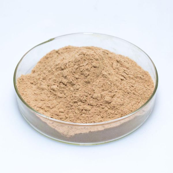 OEM Supply Dandelion Root Powder -
 Angelica absolute – Puyer