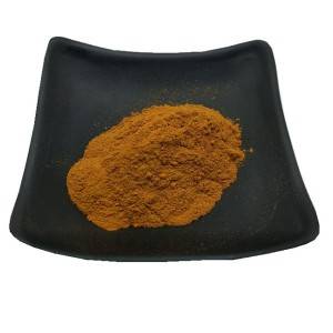 Astragalus Extract (Astragaloside A 5% / 10%)