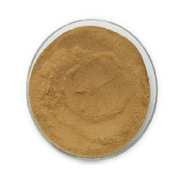 OEM Manufacturer Vegan Bilberry Powder -
 Black Cohosh Root Extract  – Puyer