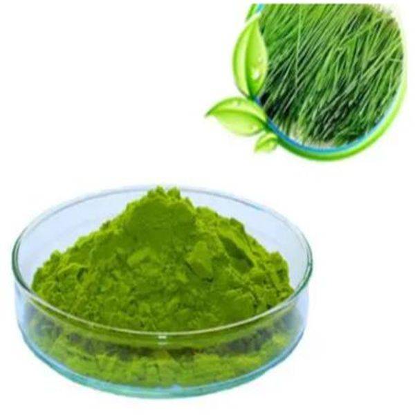 Wholesale Discount Zinc Acetate -
 Barley Grass Powder Vegan – Puyer