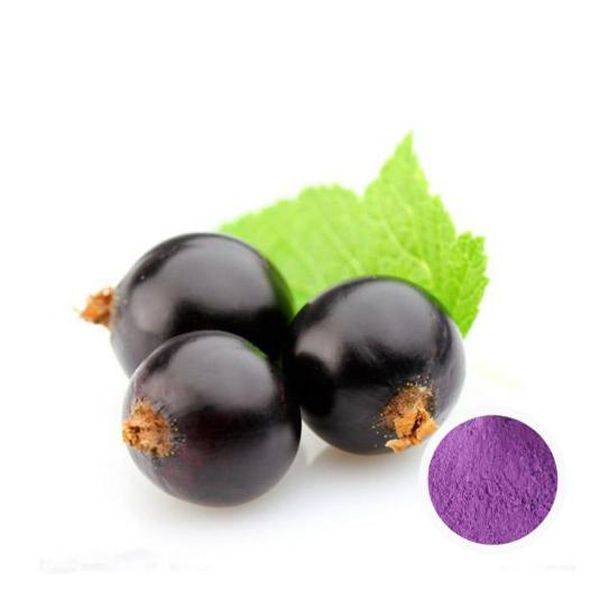 Factory best selling Ferrous Lactate -
 Blackcurrant Extract – Puyer