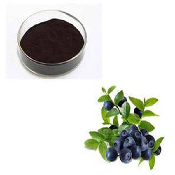 Wholesale Price Bean Fiber Powder -
 Blue Berry P.E. – Puyer