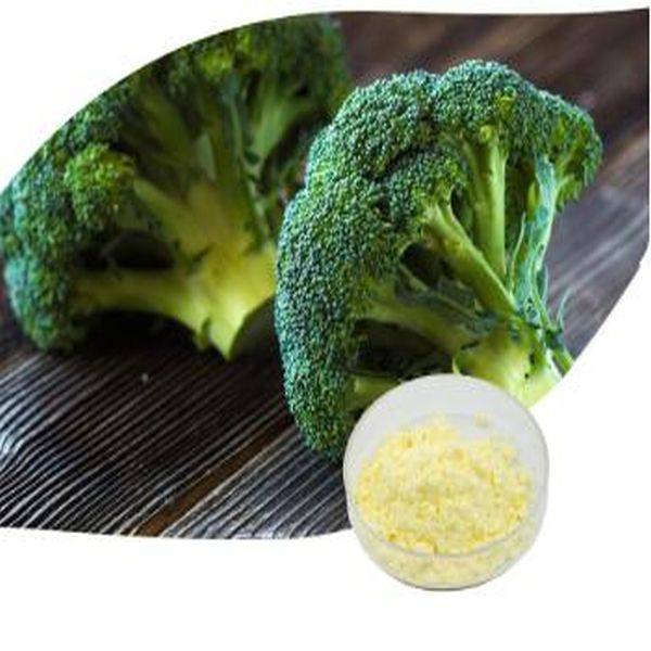 OEM Supply Dandelion Root Powder -
 Broccoli P.E.  – Puyer