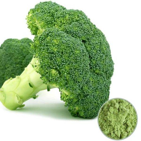 Quality Inspection for Selenium Yeast -
 Broccoli Powder Vegan – Puyer