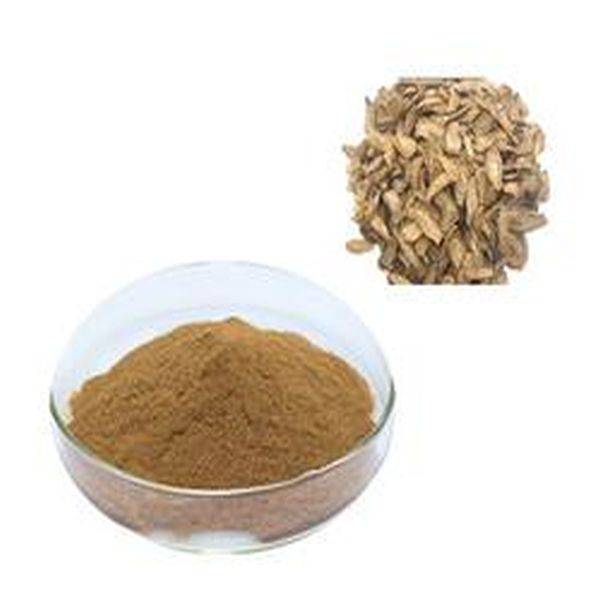 Good Quality Vegan Bcaa -
 Burdock Root Extract 4:1 – Puyer
