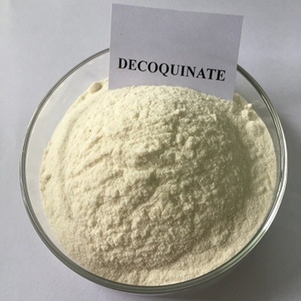 Good Quality Instant Bcaa 2:1:1/4:1:1 -
 Decoquinate CAS:18507-89-6 – Puyer