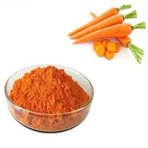 Carrot Juice Powder Extact