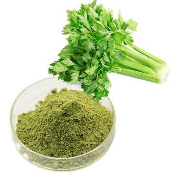 Discount wholesale Feather Meal -
 Celery Seed P.E. – Puyer