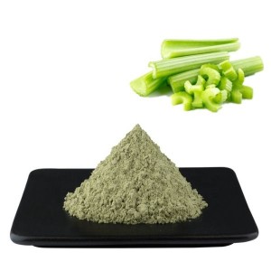 OEM/ODM China Corn Fiber Powder -
 Celery powder – Puyer