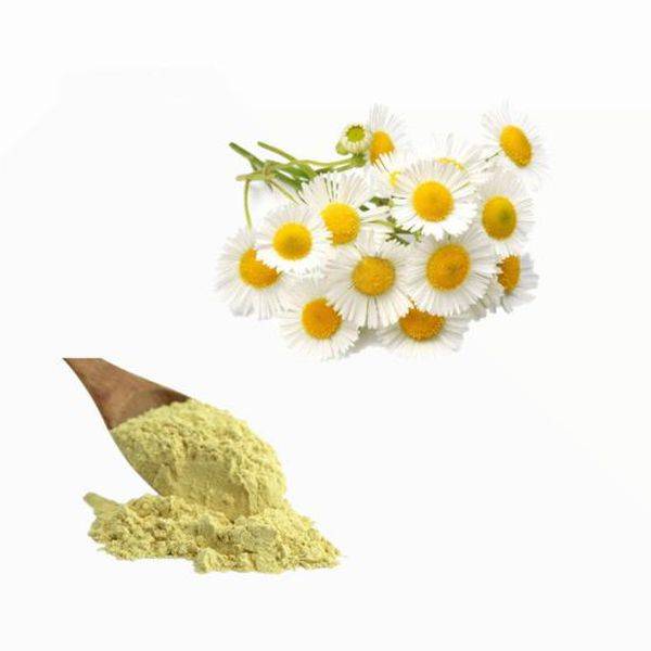 Manufactur standard Hmb Ca Tablet -
 Chamomile Extract – Puyer