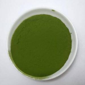 Matcha Green Tea Pùdar vegan