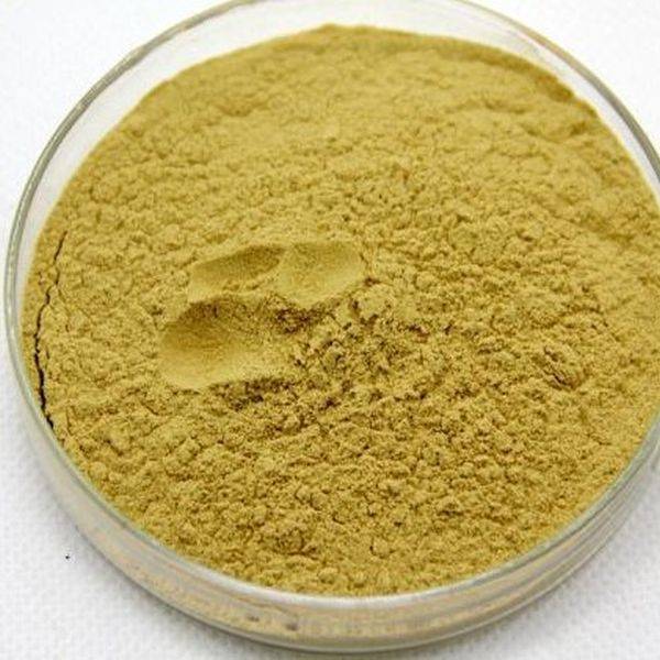 OEM Manufacturer Vegan Bilberry Powder -
 Citrus Aurantium Extract – Puyer