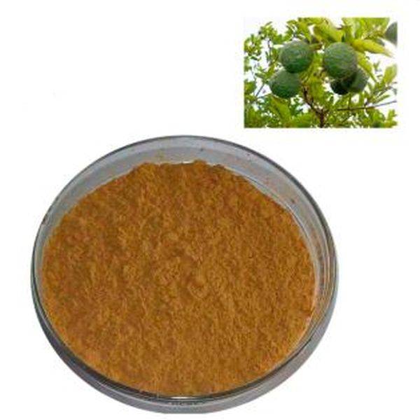 Well-designed Apple Cider Vinegar Powder -
 Citrus Aurantium P.E.  – Puyer