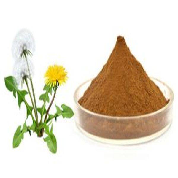 China Gold Supplier for Zinc Lactate -
 Dandelion Root Powder – Puyer