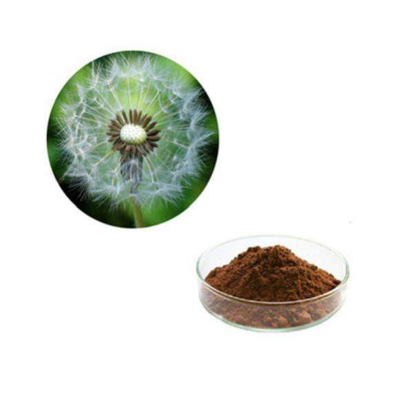 China Supplier Py-Zym Wheat -
 Dandelion root powder – Puyer
