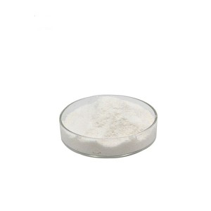 Dexamethasone Metasulfobenzoate Sodium
