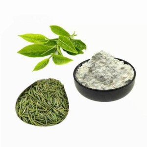 The active ingredient extracted from green tea leaves – Green tea polyphenols (GTP)