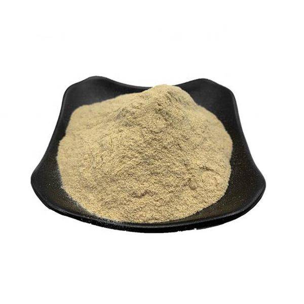 China New Product Zinc Sulfate -
 Ferrous Succinate – Puyer