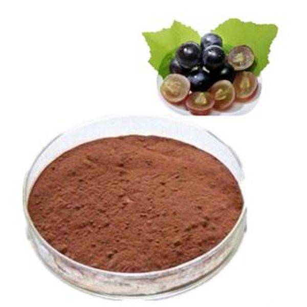 China wholesale Semduramycin -
 Grape Seed P.E. – Puyer