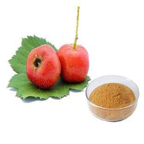 OEM Manufacturer Vegan Bilberry Powder -
 Hawthorn Berry P. E. 10:1 – Puyer