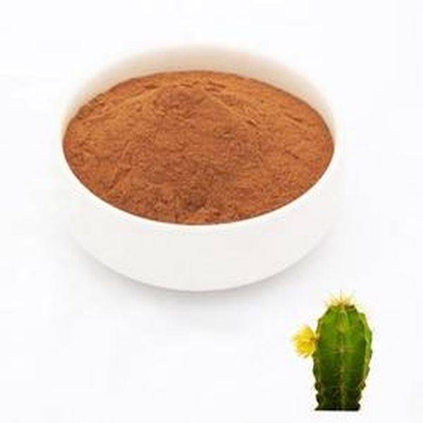 China Supplier Soya Bean Meal -
 Hoodia Cactus extracts – Puyer