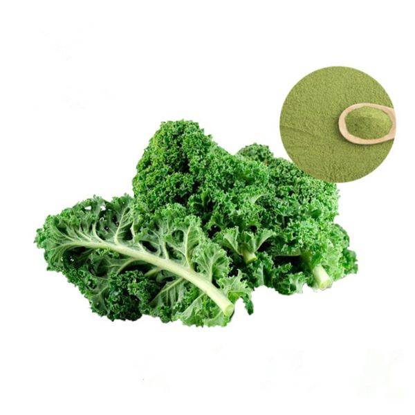 Wholesale Dealers of Lutein Powder 5% 10% 20% -
 Kale powder – Puyer