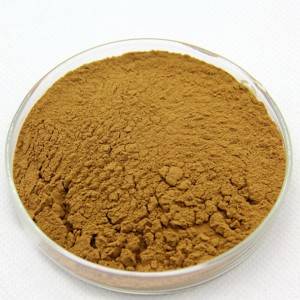 Lotus leaf Extract (Lotus flavones 10% / 30%)