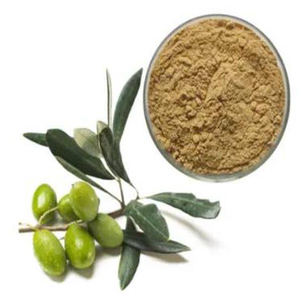 High reputation Potassium Sulfate -
 Olive Leaf Extract – Puyer