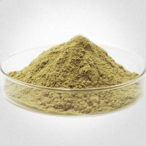 Olive Leaf Extract (Hydroxytyrosol 10% / 20% / 50%)