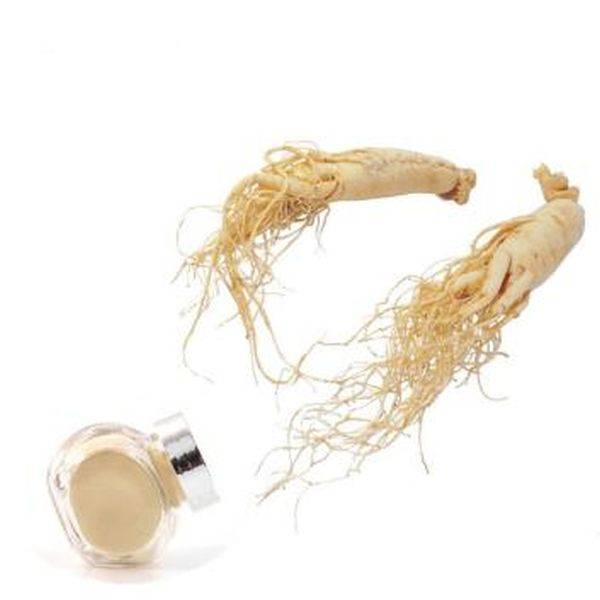 Factory Promotional Gugglul 2.5% -
 Panax Ginseng Extract – Puyer
