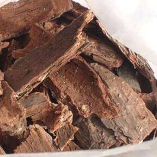 Famous Antioxidant — Pine Bark Extract