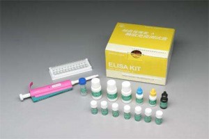 Porcine Reproductive＆Respiratory Syndrome Virus Antibody ELISA Kit