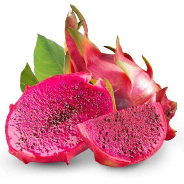 Factory source Pumpking Seed -
 Red pitaya powder – Puyer