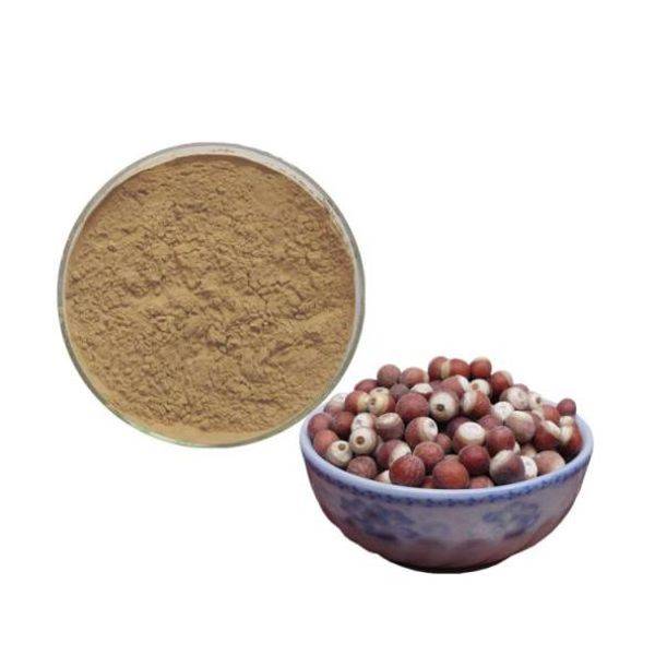 Factory For Ferric Chloride -
 Semen euryales powder – Puyer