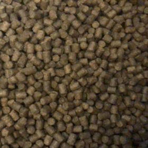 One of Hottest for Organic Barley Grass Powder -
 Sturgeon Feed – Puyer