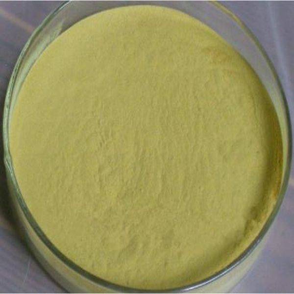 Popular Design for Organic Mango Powder -
 Tea polyphenols – Puyer