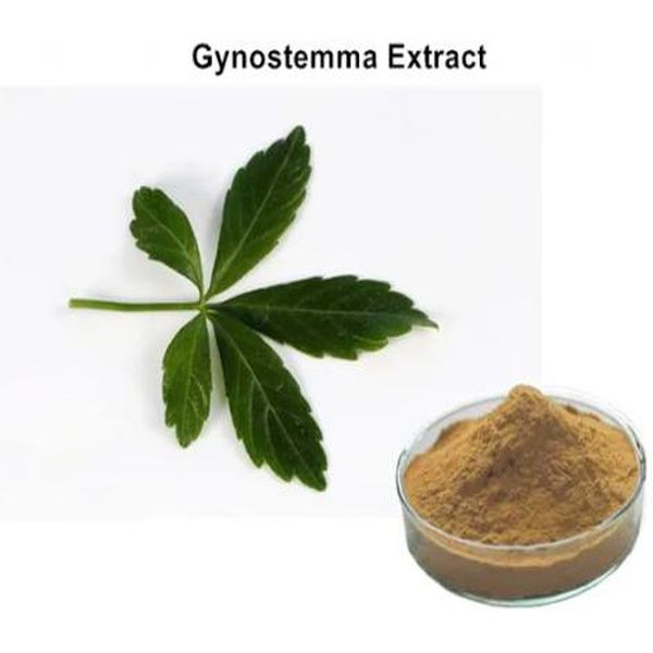 Excellent quality Gluco Amylase -
 Gynostemma – Puyer