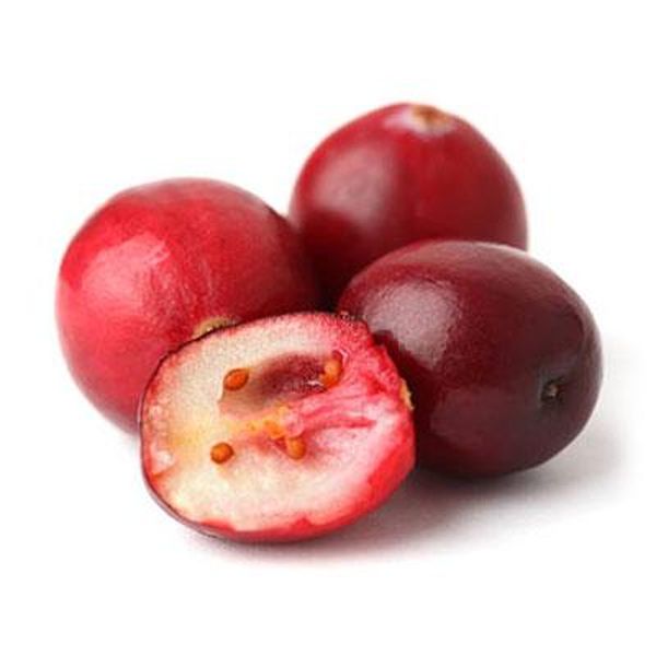 Cheap price Rosehips P.E. -
 Cranberry – Puyer