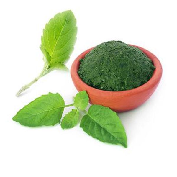 Chinese Professional Aspartame/Apm -
 Holy Basil (Tulsi) – Puyer