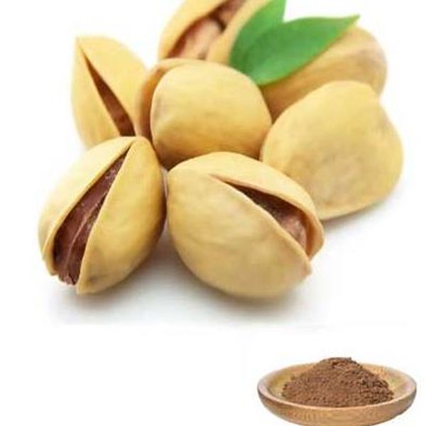 Factory directly Baicalin 95% -
 Pistachio Extract 10:1 – Puyer