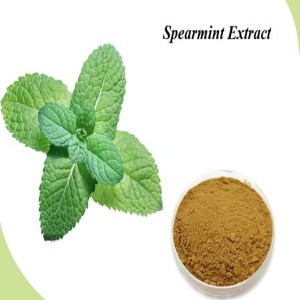 Factory Cheap Hot L-Leucine Powder -
 Spearmint – Puyer