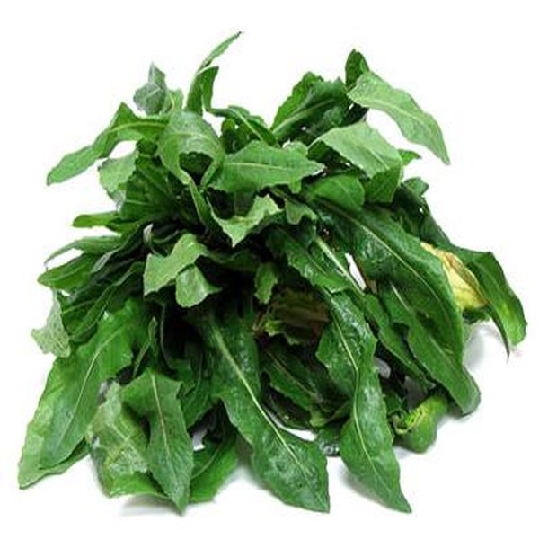 Leading Manufacturer for Ethylparaben -
 Wild Lettuce leaf – Puyer