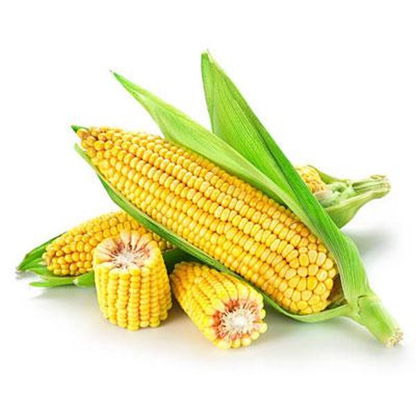 Discountable price Ethyl Maltol -
 Corn silk – Puyer